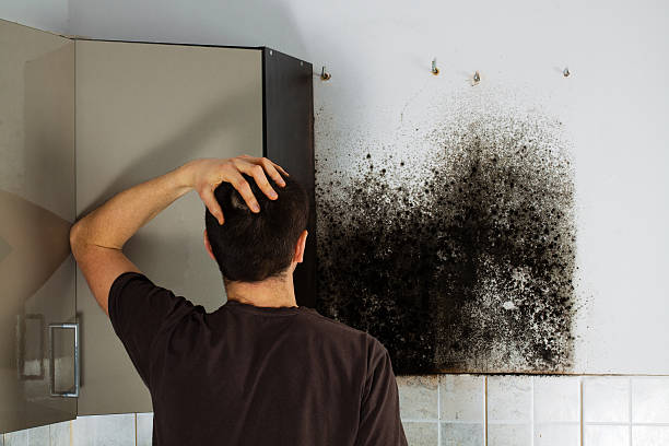 Best Emergency Mold Removal  in Jefferson, GA
